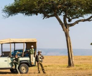 Bishnoi Village Safari: Wildlife, Nature, and Culture