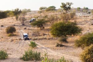 Jeep Safari in Jodhpur – Explore the Real Rajasthan Beyond Forts